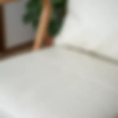 A close-up of a white leather chair being cared for