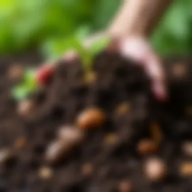 Close-up of rich, dark soil with organic materials