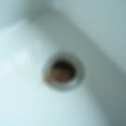 Close-up of a bathtub drain showing hair blockage