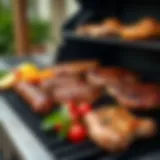 Midsize gas grill showcasing an array of grilled meats and vegetables.