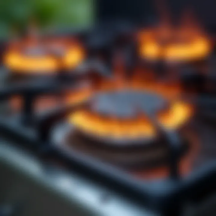 Diagram demonstrating essential maintenance practices for gas BBQ burners.