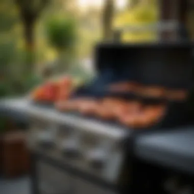 Safety precautions and considerations for using gas BBQ systems effectively.