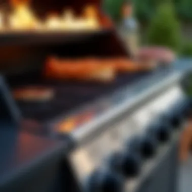 Illustration of different types of gas BBQ burners highlighting their unique features.