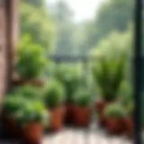 A vibrant collection of various potted plants arranged aesthetically on a balcony