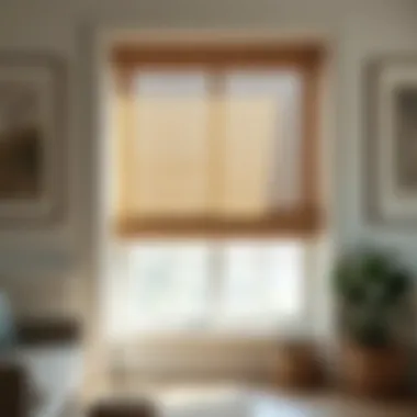Chic Bamboo Shades Chic bamboo shades providing natural light control