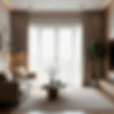 Modern Living Room with One Way Drapes Elegant one way drapes in a modern living room